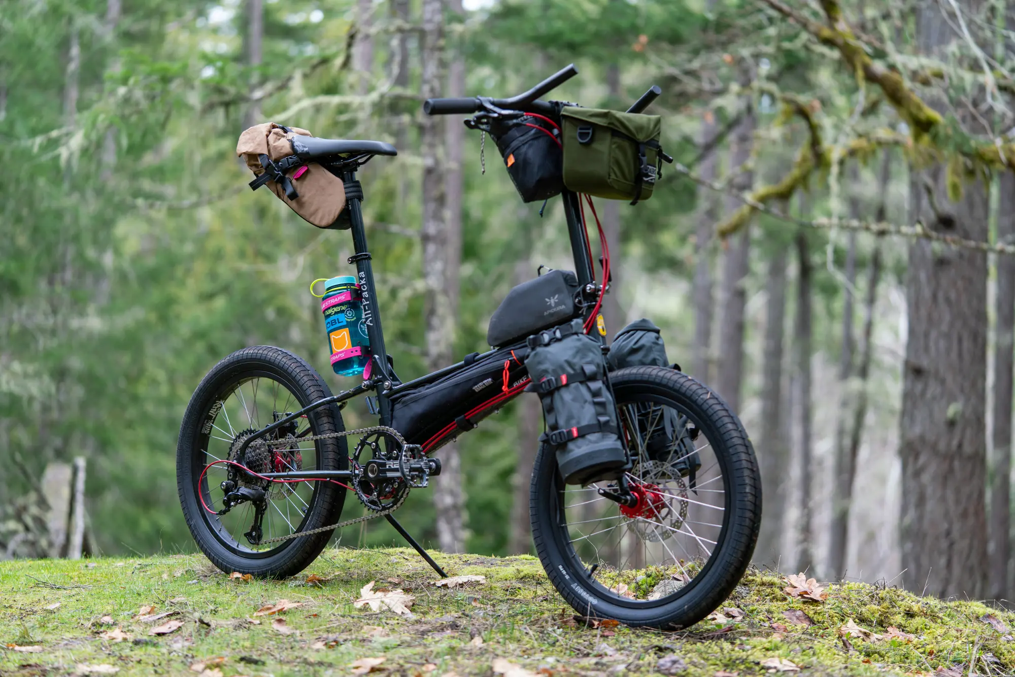 bikepacking bike