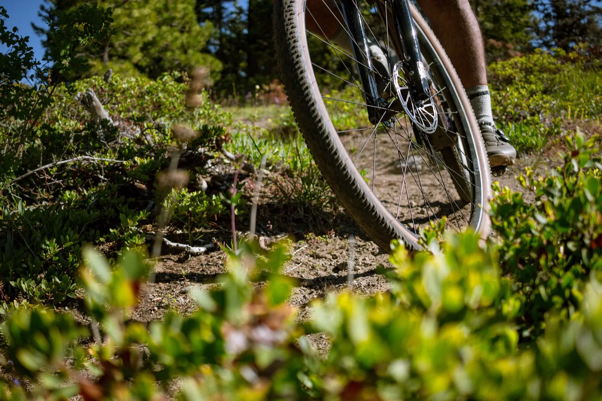 A low, dusty angle on the rear wheel mid-trail