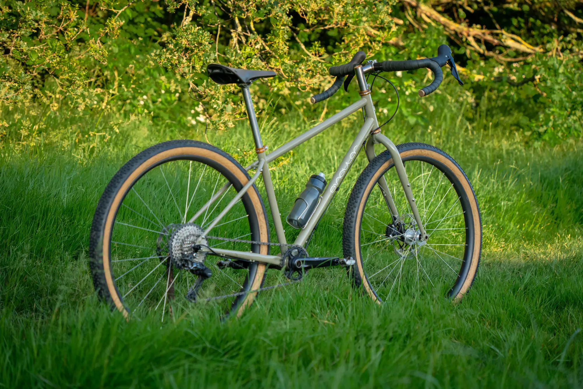 A Gryphon rear view.