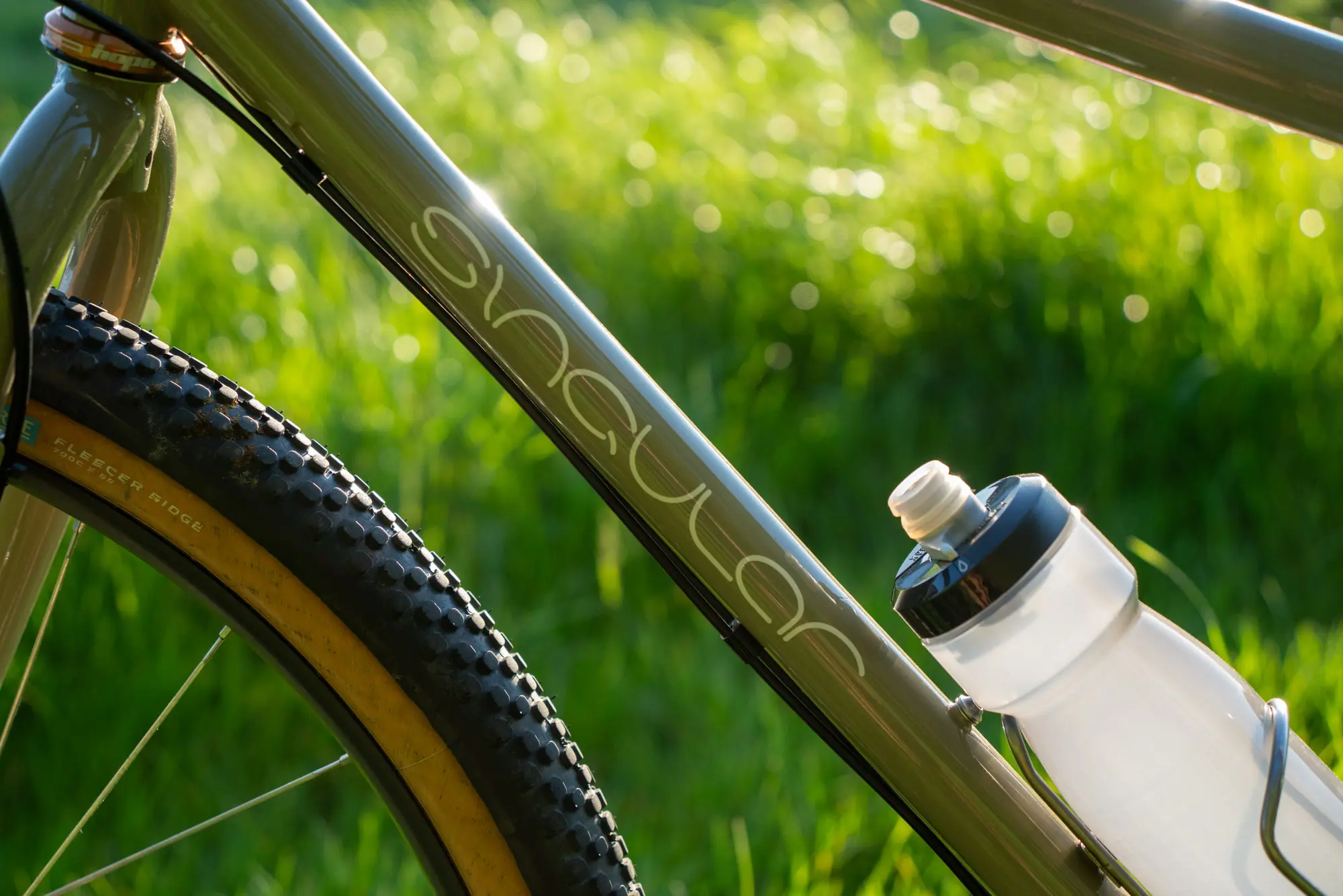 The Singular logo on the downtube.