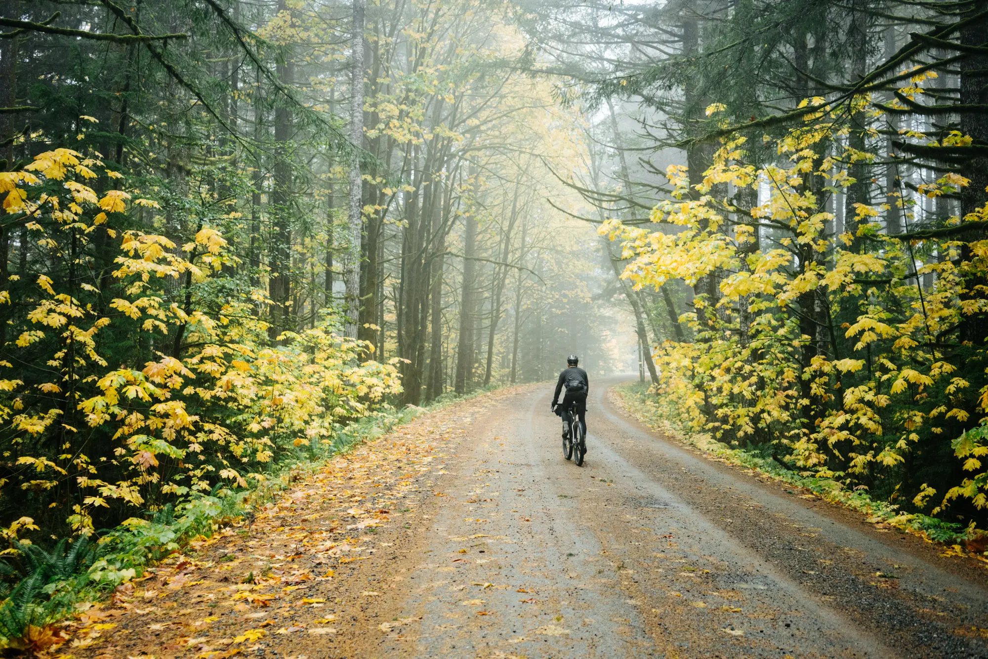 Autumn rides on Vancouvery Island.