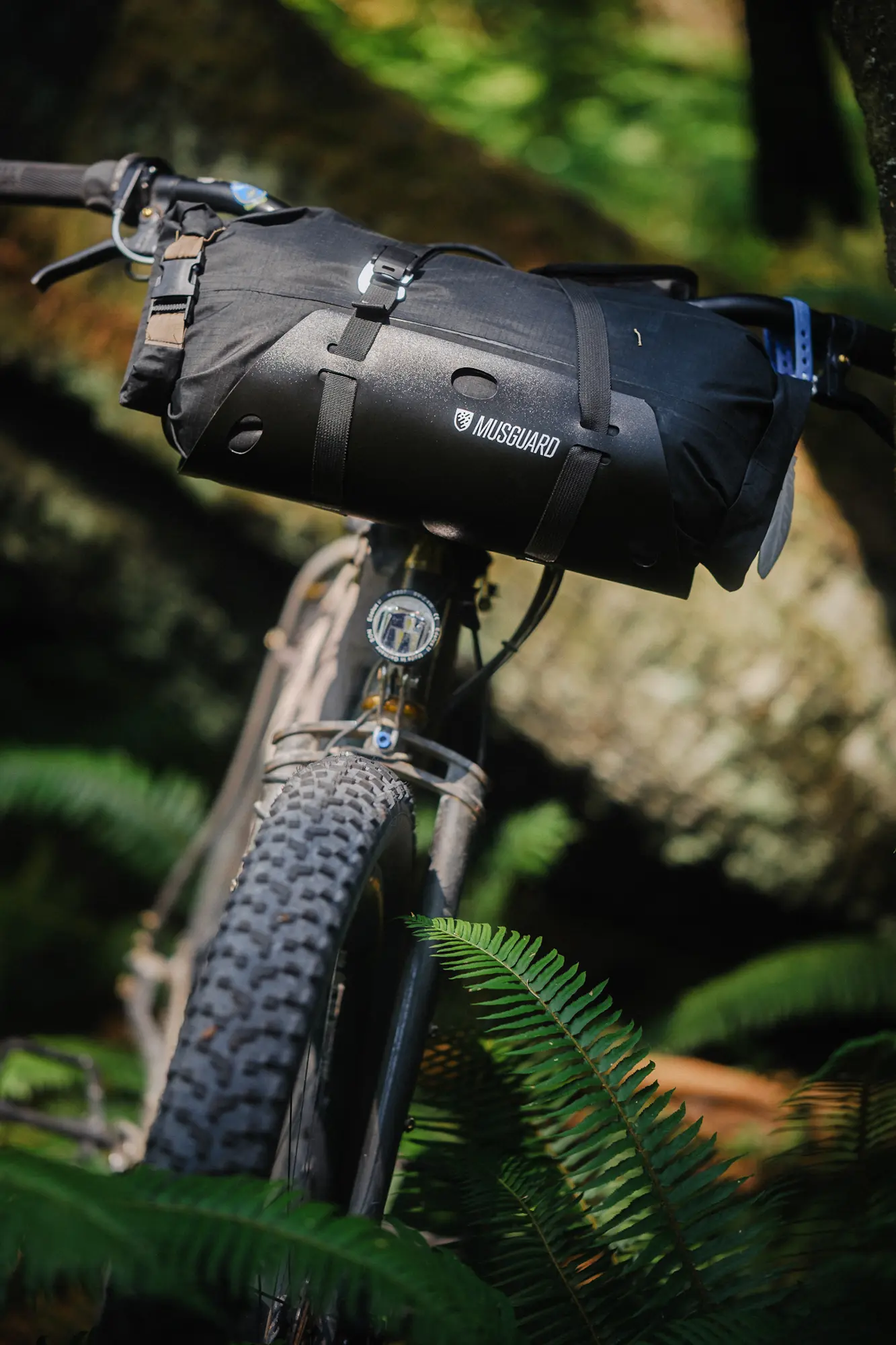 bike in ferns