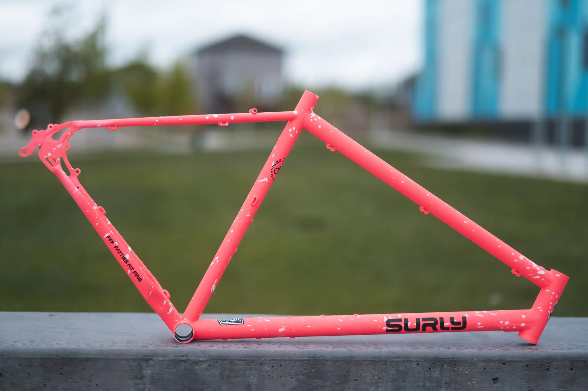 Spray.Bike: Making Memories with a Surly Makeover