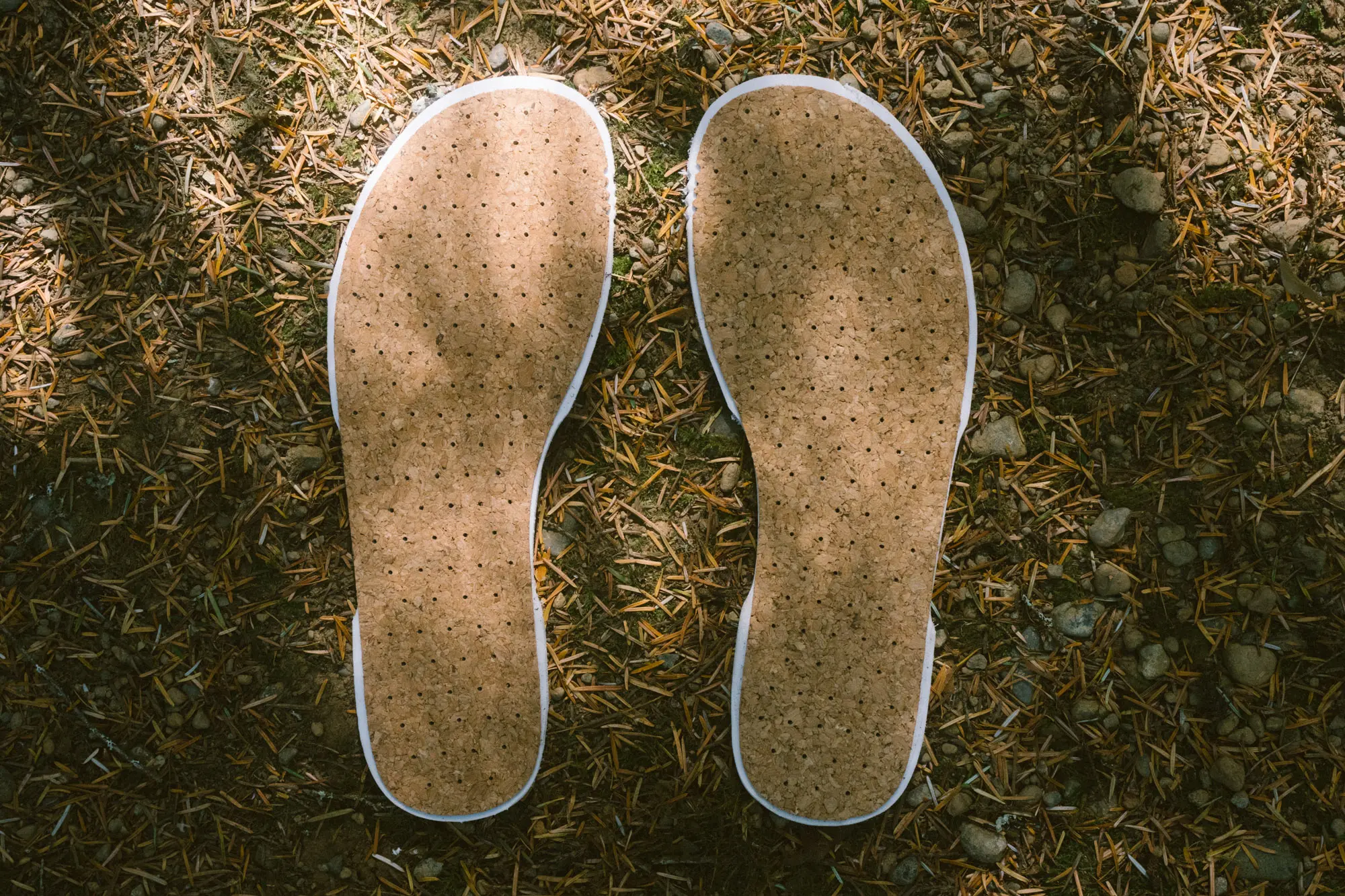 The footbed inserts.
