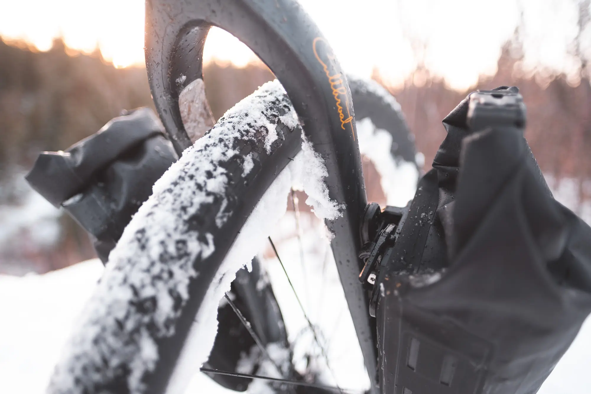 The Tailfin Fork Packs rear view.