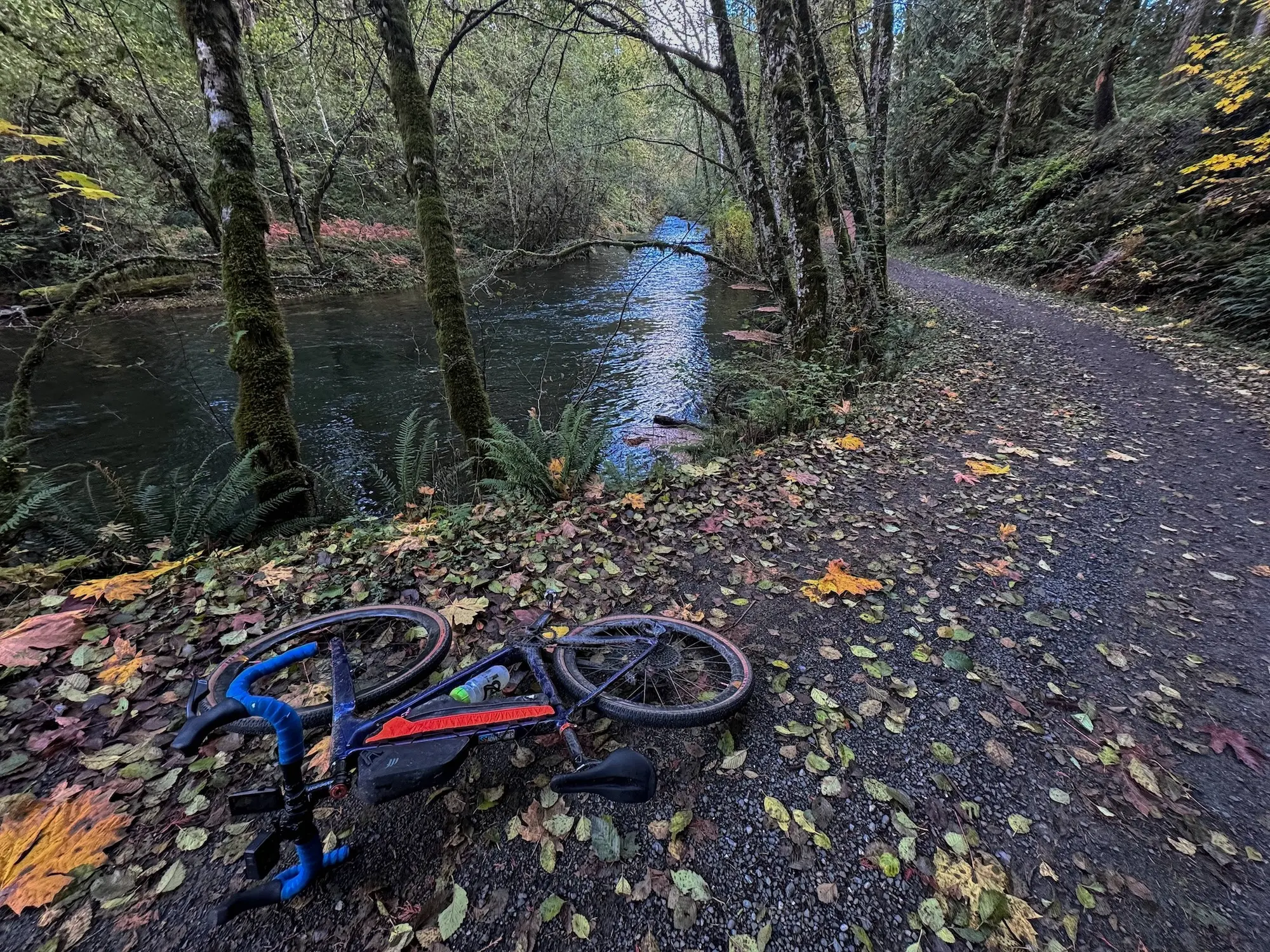 The Big Qualicum River Regional Trail in full autumn