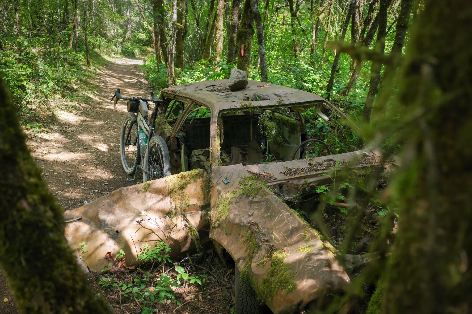 Another angle on the mossy wreck beside the doubletrack