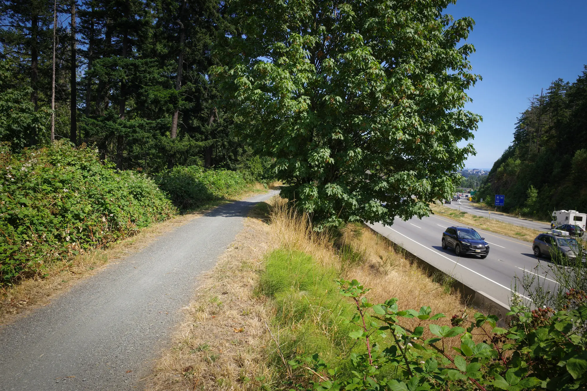 The car-free path running above the highway
