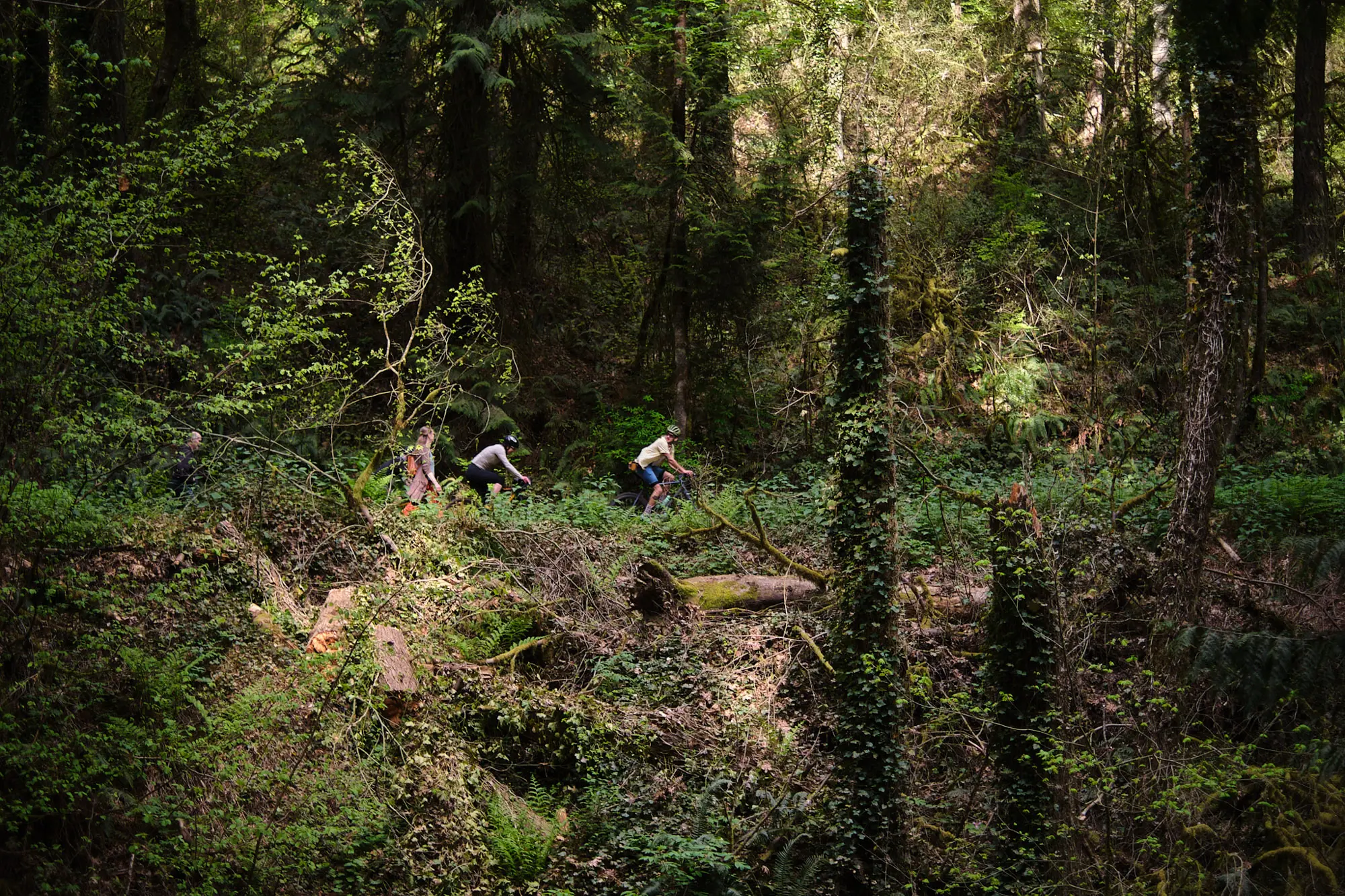 Gravel Guide Portland: Urban Dirt to Country Gravel