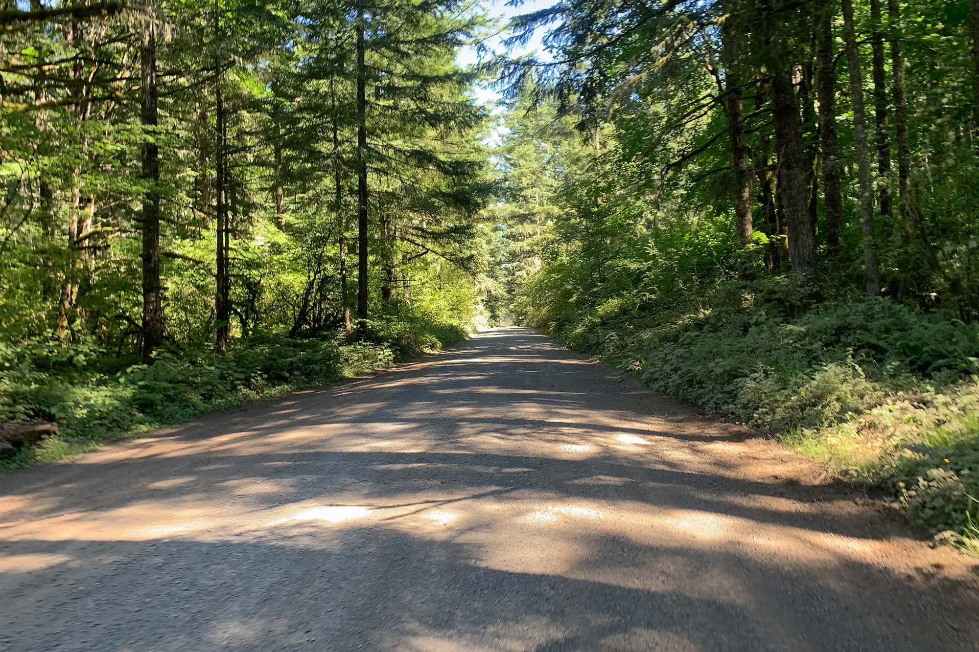 Memaloose: Into the Wild