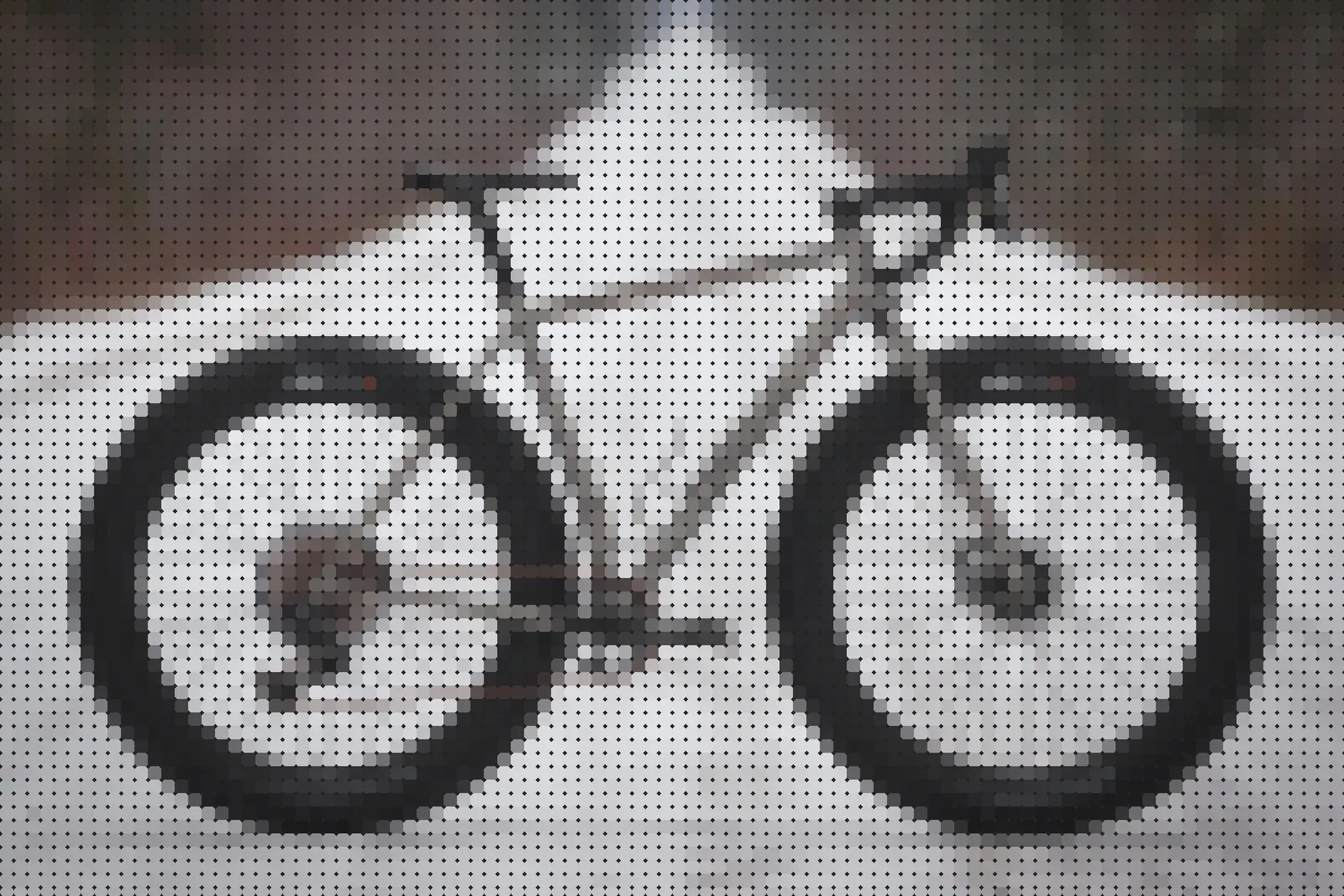 A Total Newbie's Guide to Fat Biking & Fat Tire Bikes