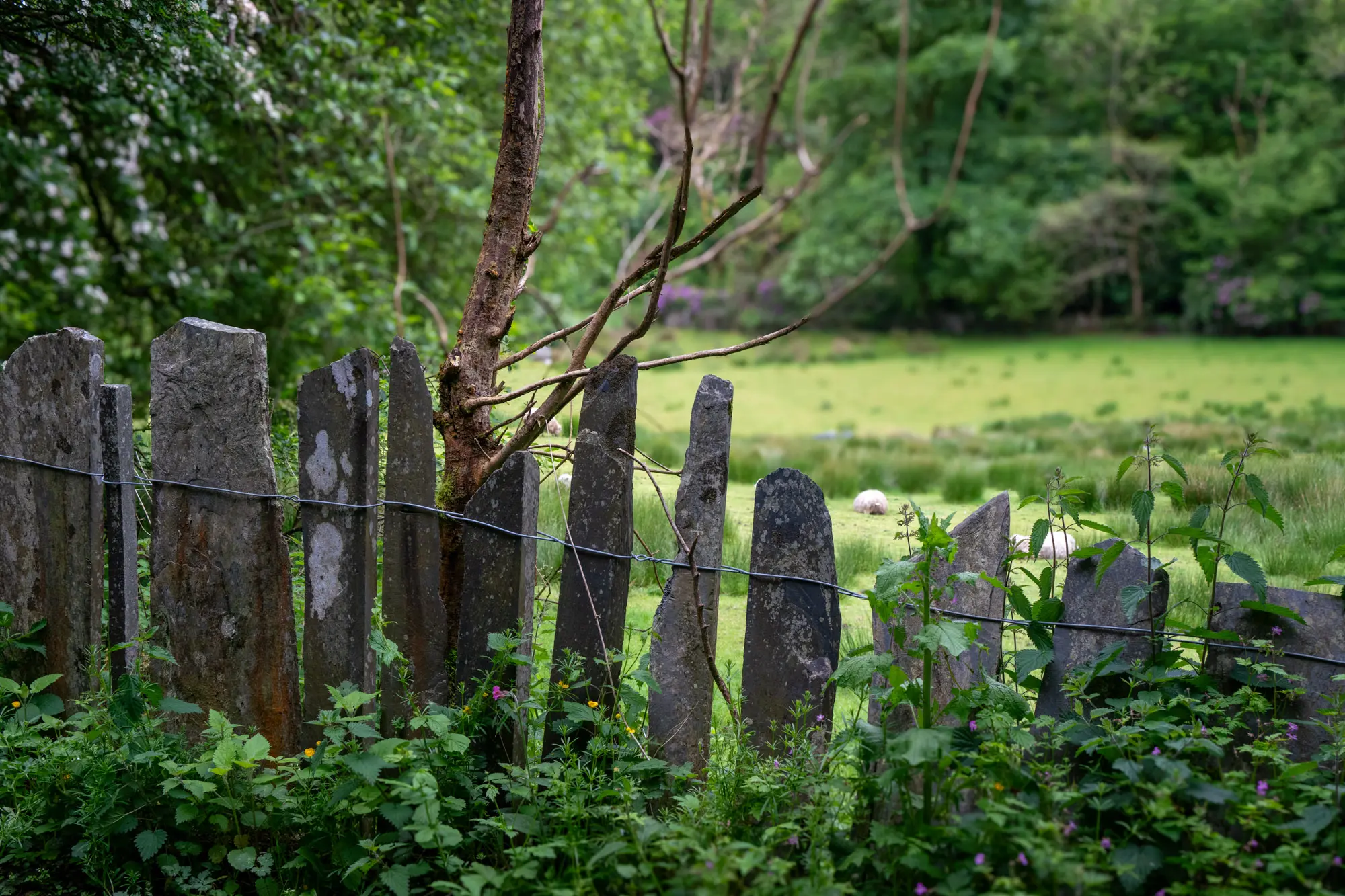 A old stone fence.