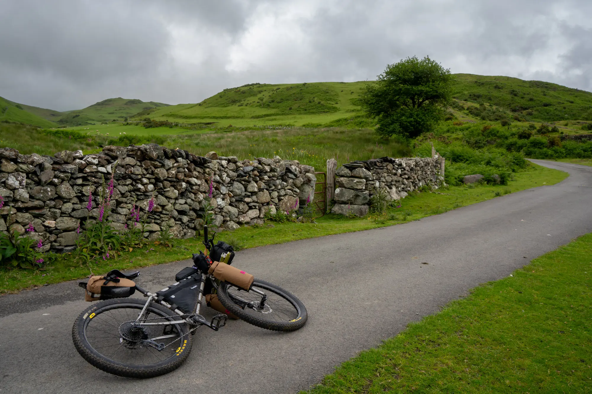Starting the large climb for the day.
