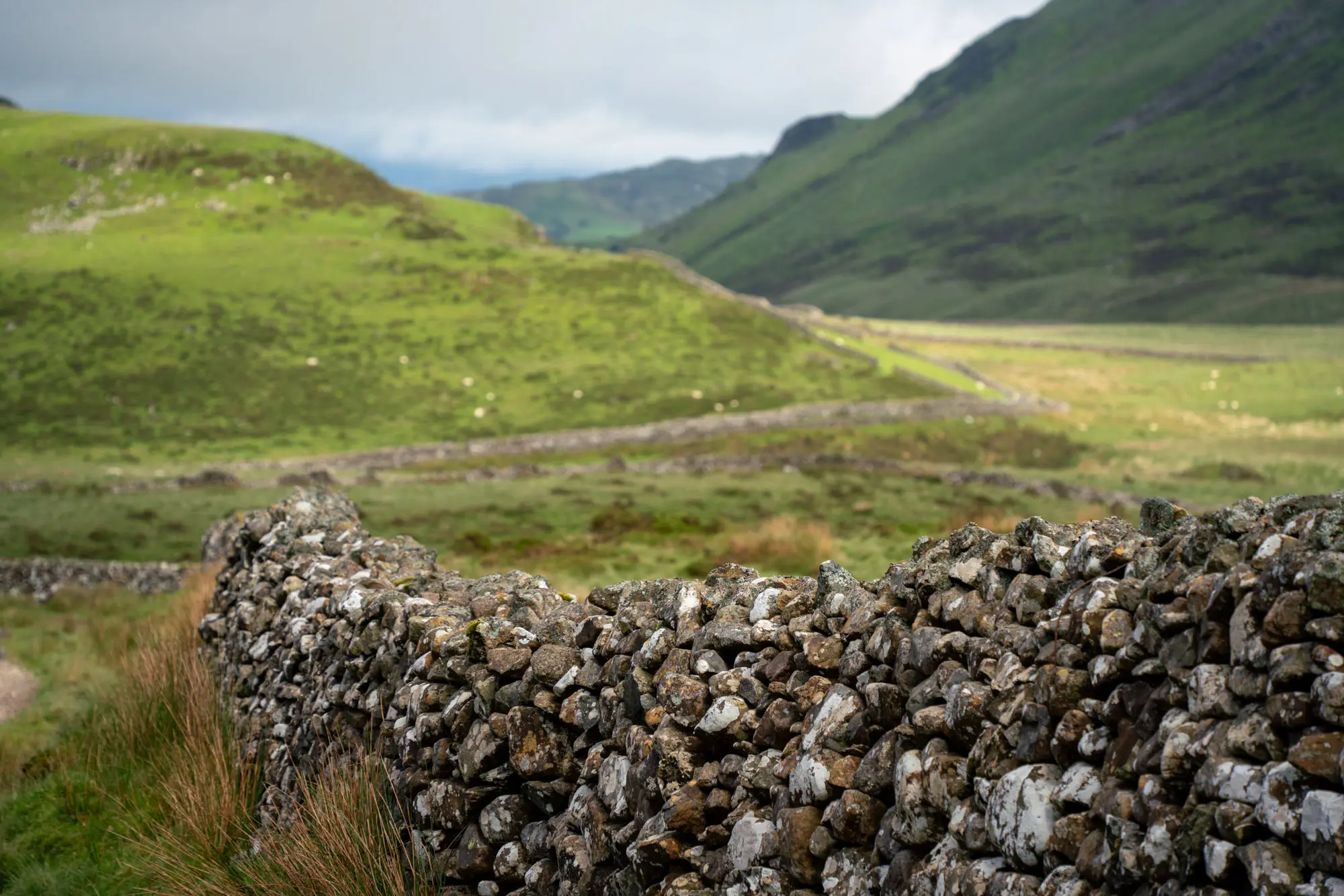 Another ancient stone fence.