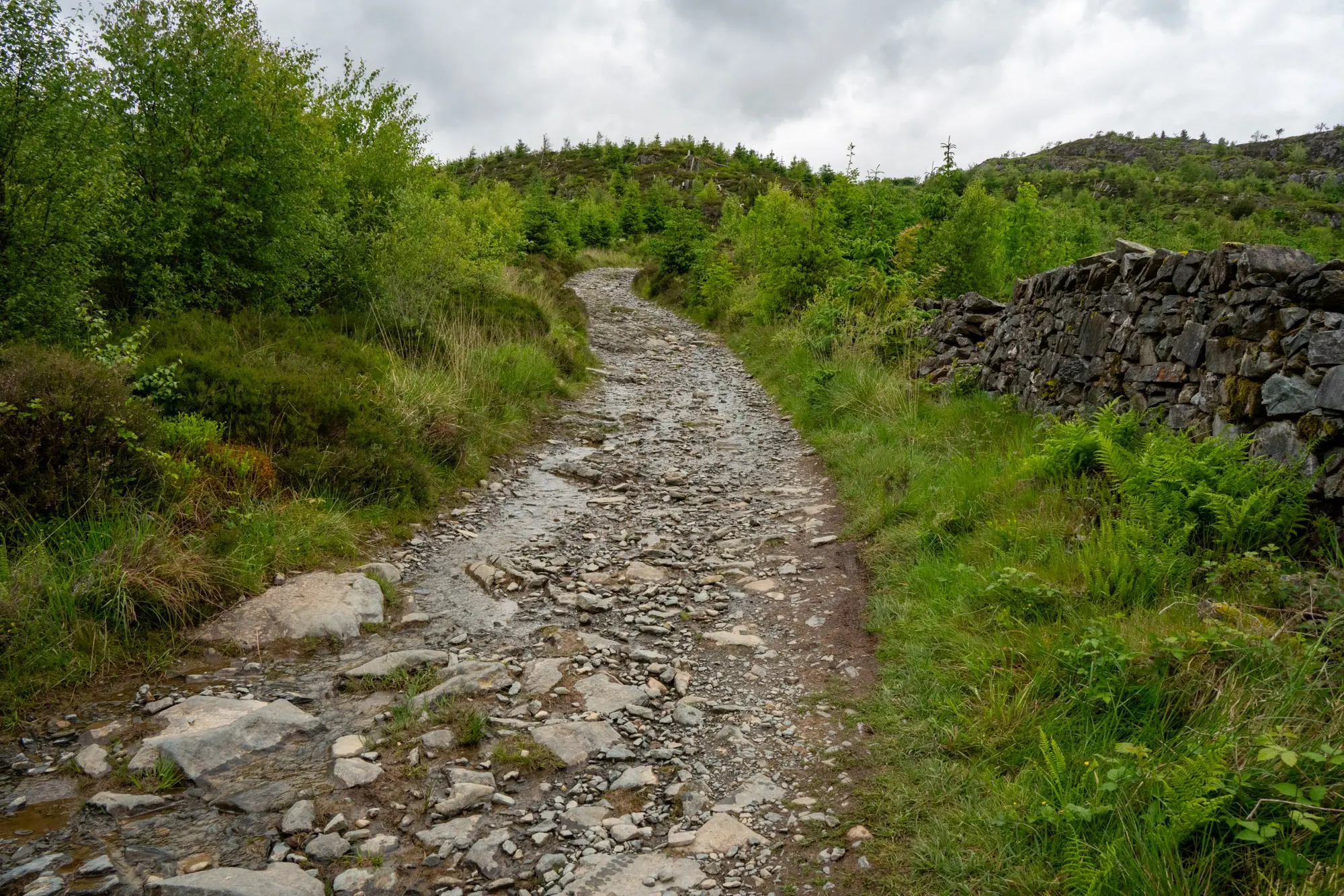 Some tough track.